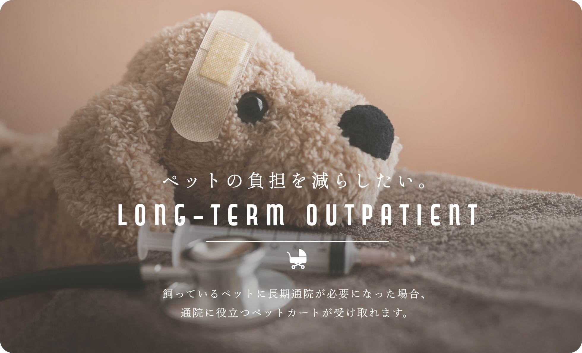 ペットの長期通院サポート