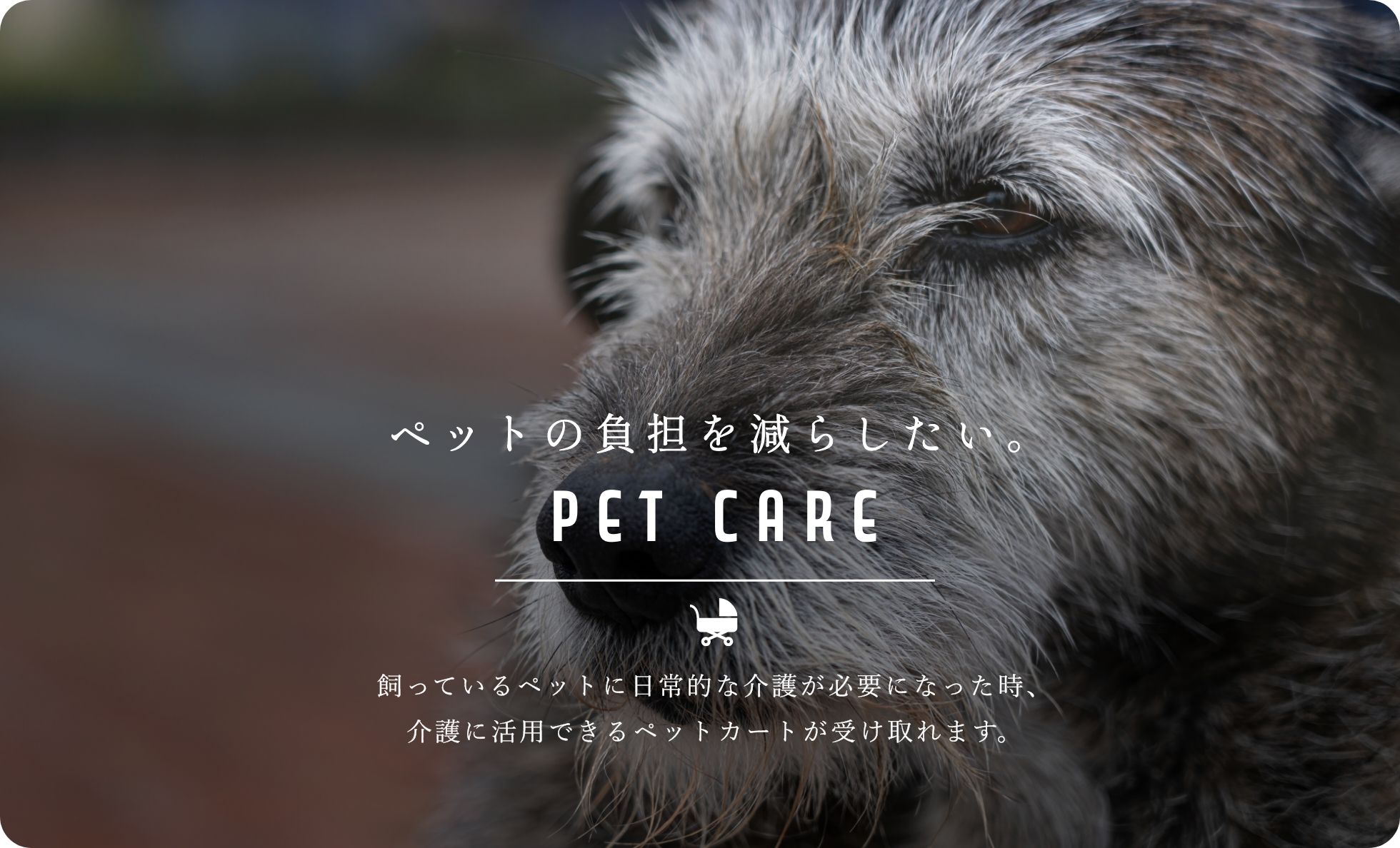 ペットの介護サポート